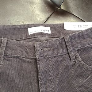 Loft Curvy Boot Cut Cords